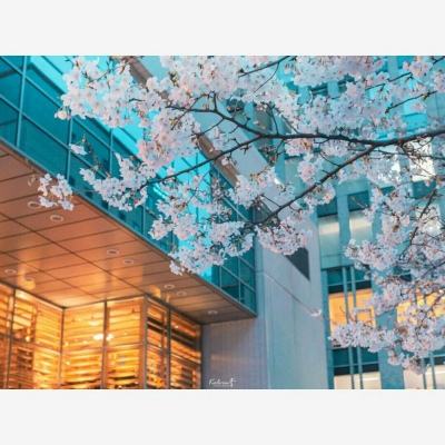 竞彩足球app官方下载手机版